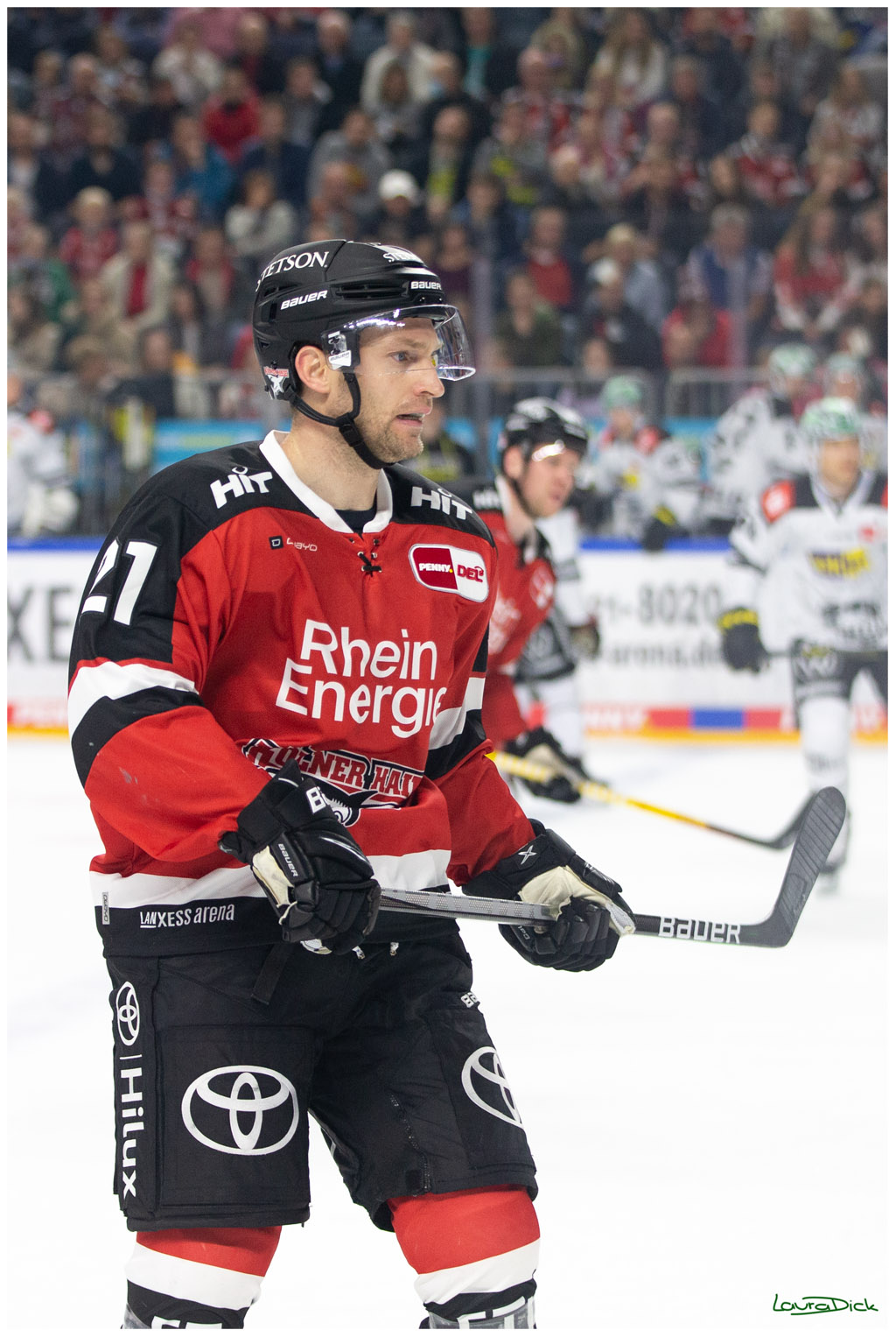 PENNY DEL;  Koelner Haie - Krefeld Pinguins; Koeln, 31.10.2021
